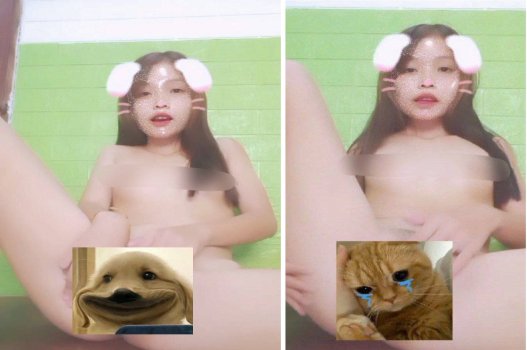 Thỏ xinh đáng yêu hay nứng sôi muốn chơi d.ịch vụ